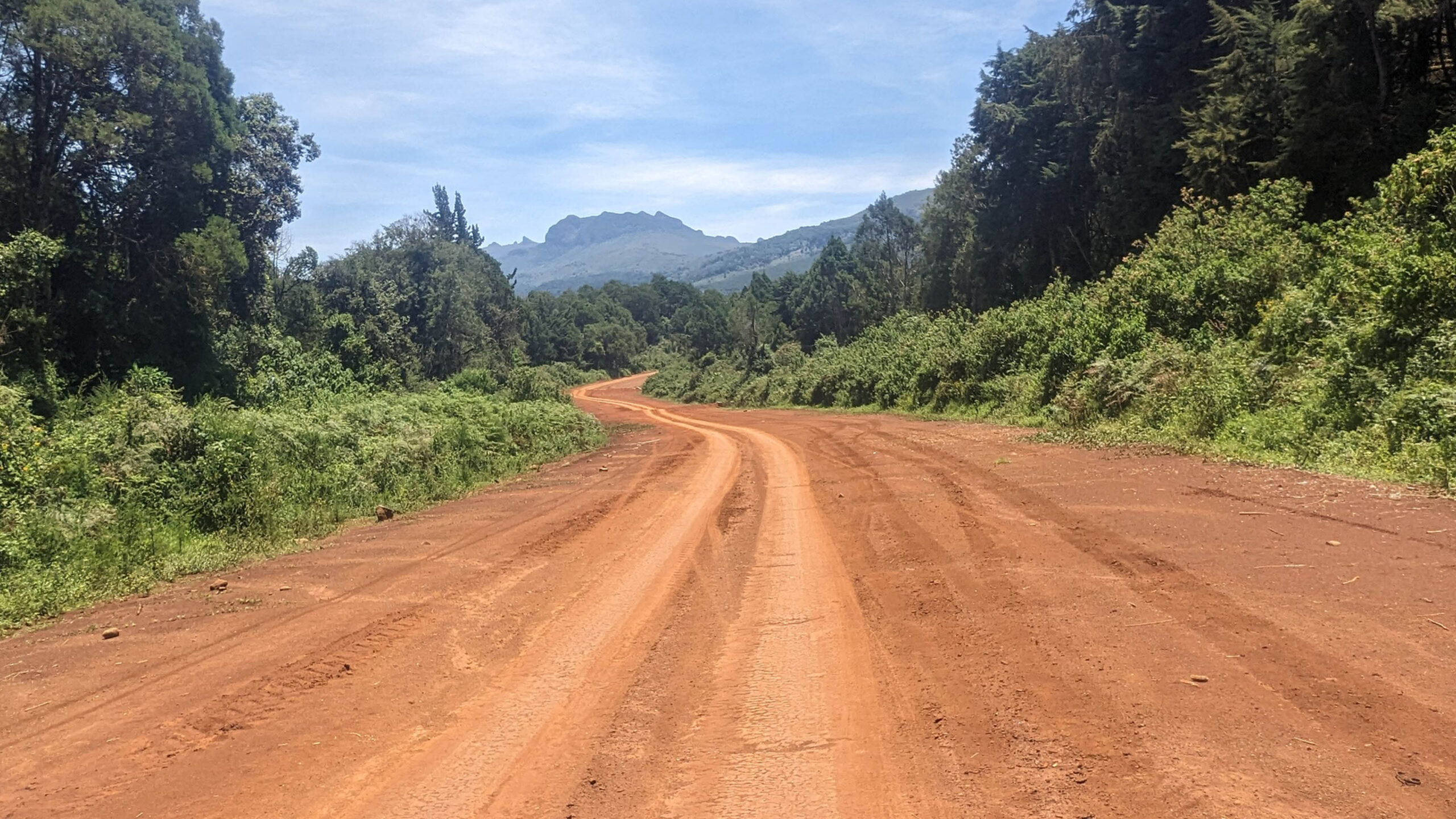Red dirt road through green forest in Kenya, typical of a Safari MotoXpedition motorbike tour