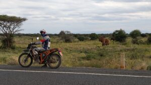 Motorbike rider on a Kibo 250 stopped by the road as elephants graze in the Kenyan savannah