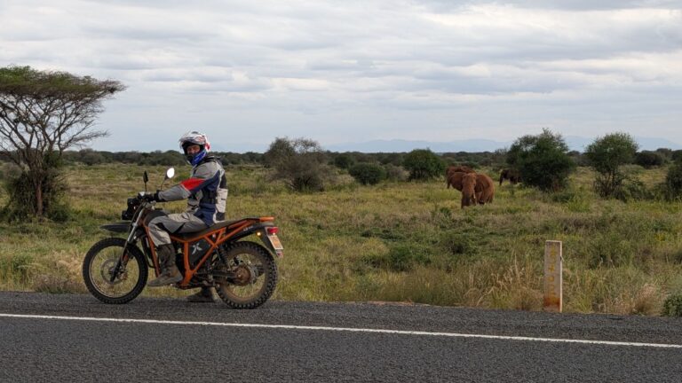 Motorbike rider on a Kibo 250 stopped by the road as elephants graze in the Kenyan savannah