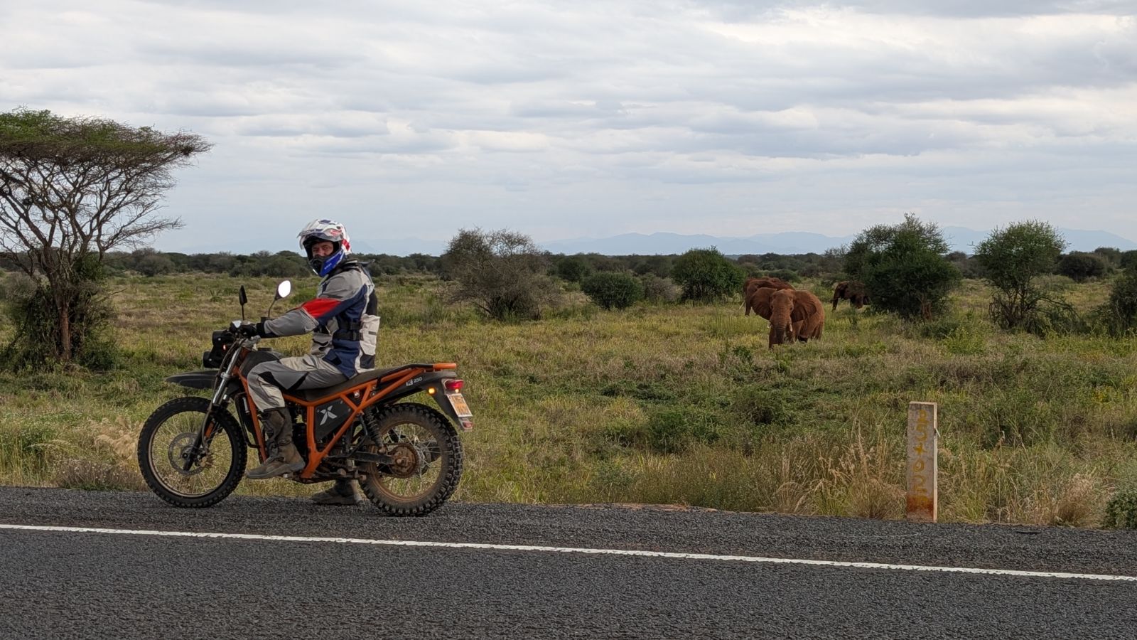 Motorbike rider on a Kibo 250 stopped by the road as elephants graze in the Kenyan savannah
