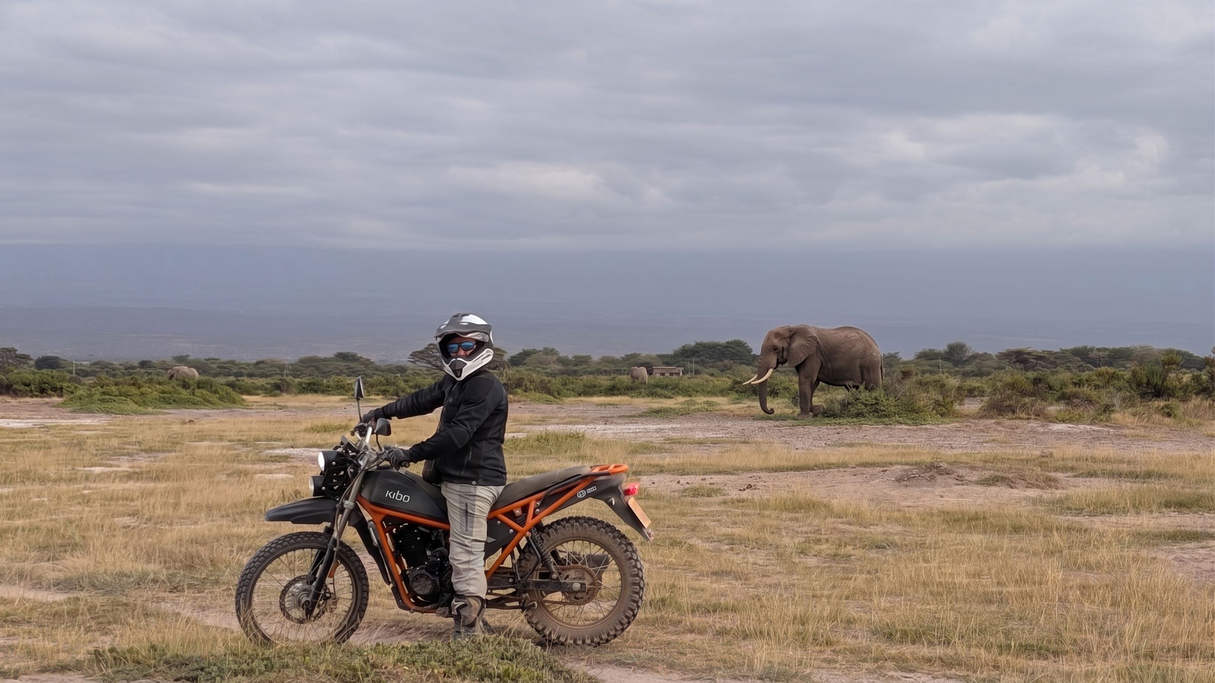 Rider on a Kibo 250 motorbike on the open plains of Amboseli, Kenya, with an elephant grazing behind him